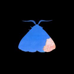 Cover of Crying in Public