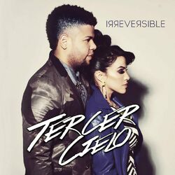 Cover of Irreversible
