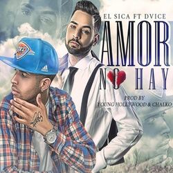 Cover of Amor No Hay