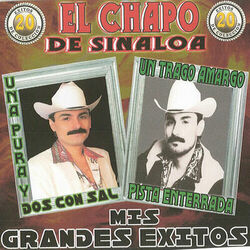 Cover of 20 Exitos de Coleccion: Mis Grandes Exitos