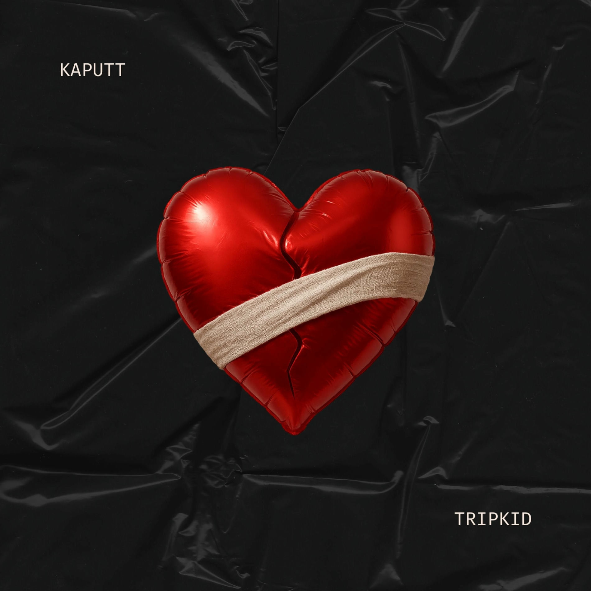 Album cover of KAPUTT
