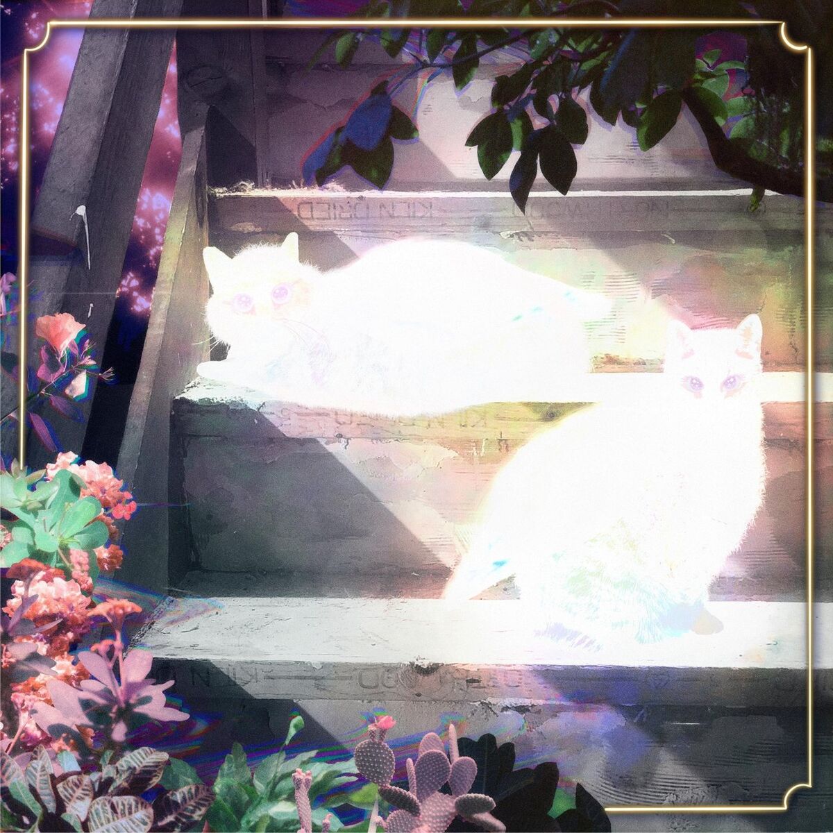 Album cover of Retinal Bloom