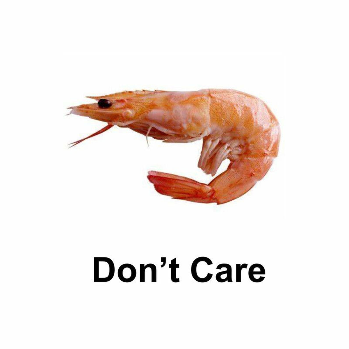 Album cover of Don't Care