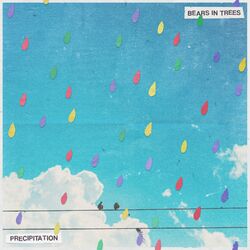 Cover of Precipitation