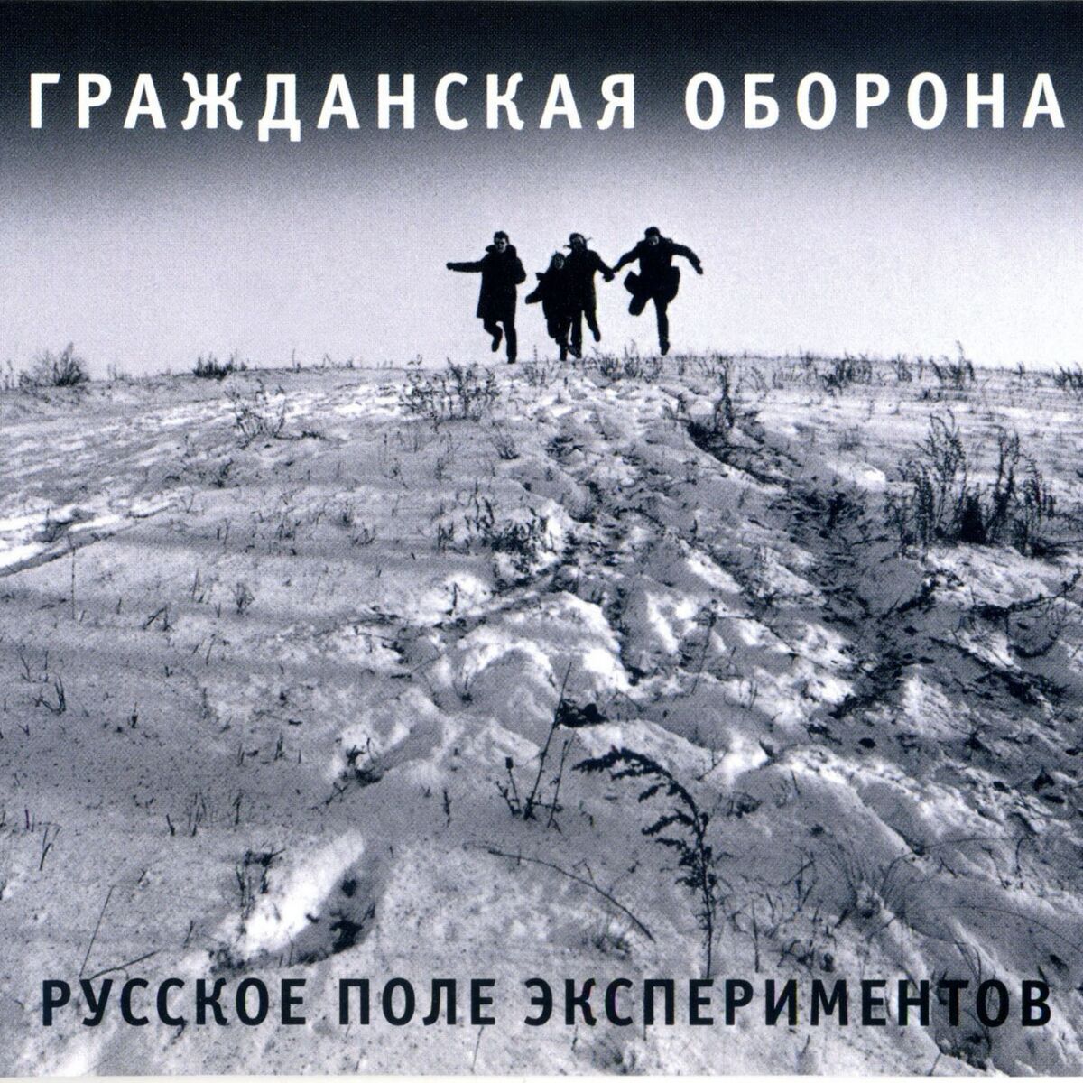 Album cover of Русское поле экспериментов