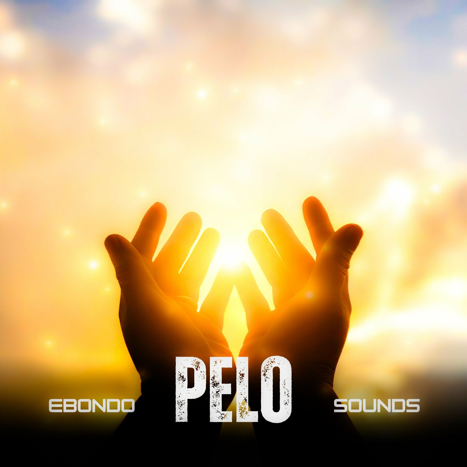 Album cover of Pelo