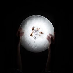 Cover of Let My Keys Shine Bright
