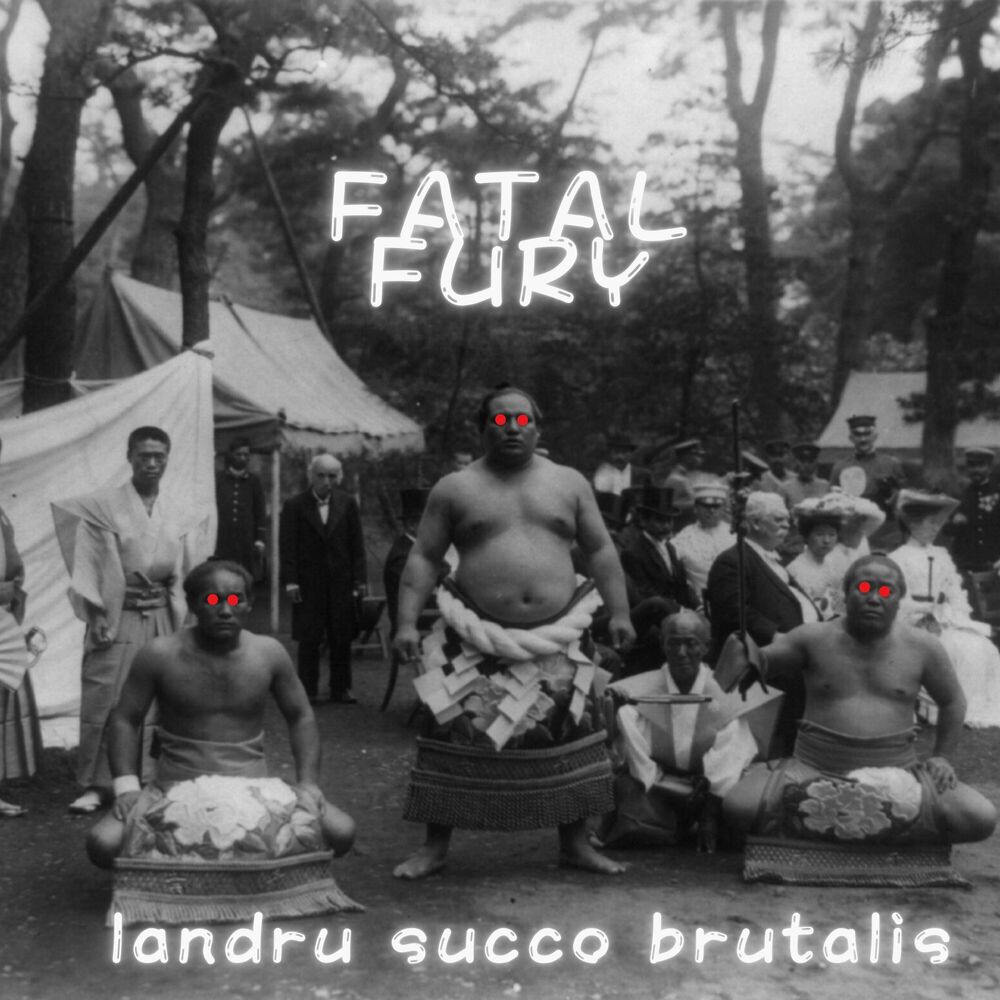 Picture of Fatal Fury