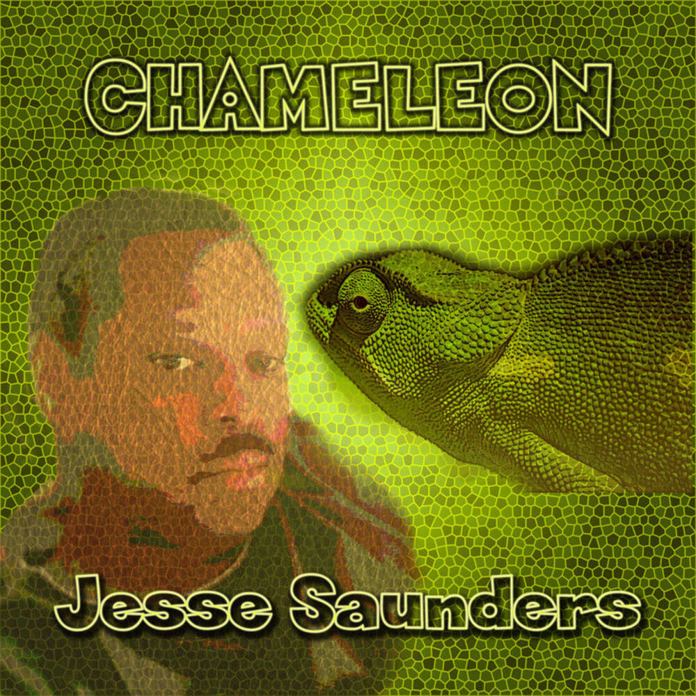 Picture of Chameleon