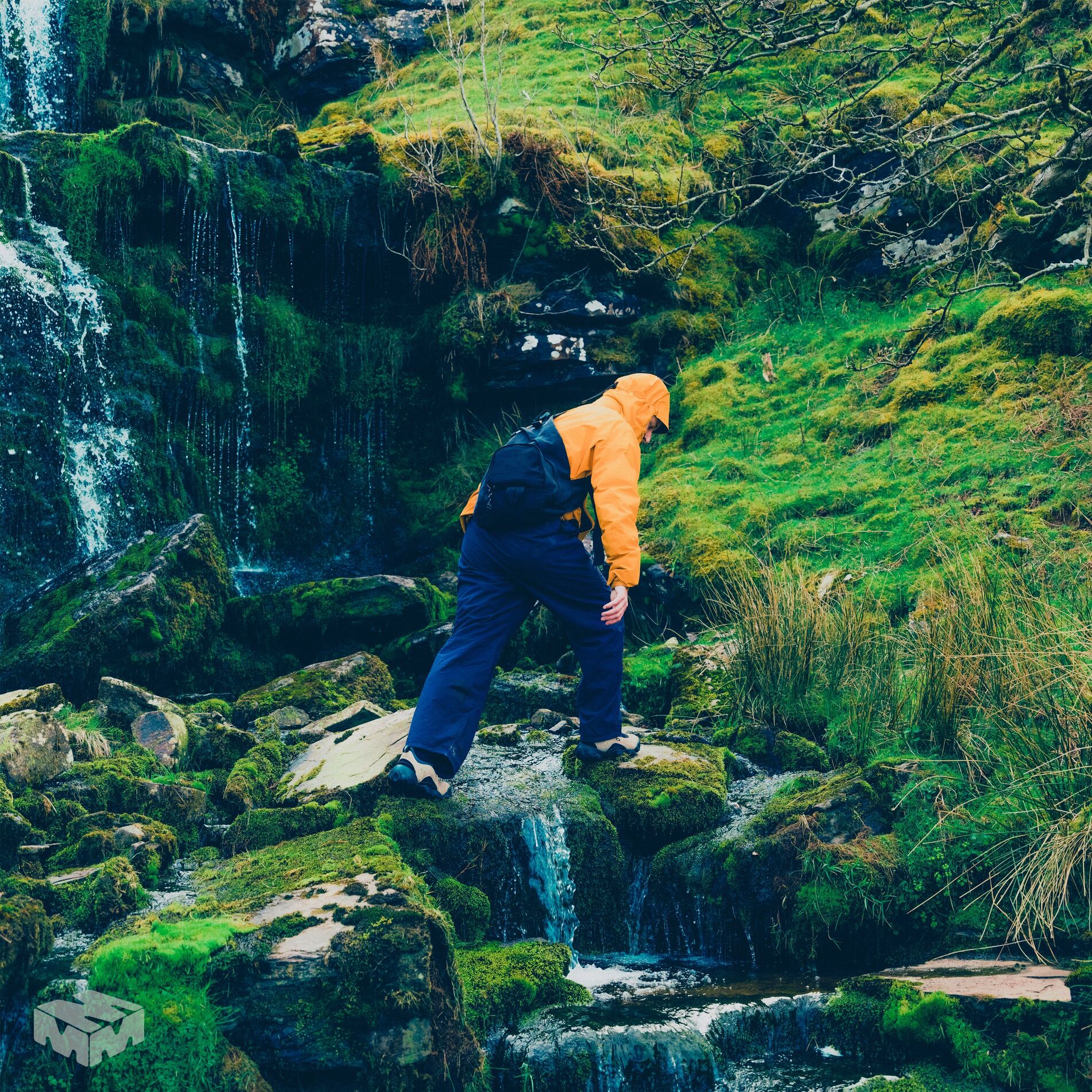 Album cover of Cut