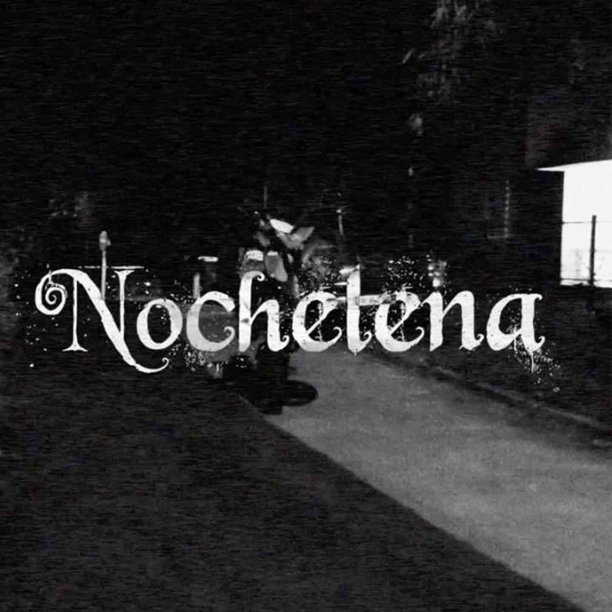 Album cover of Nochetena
