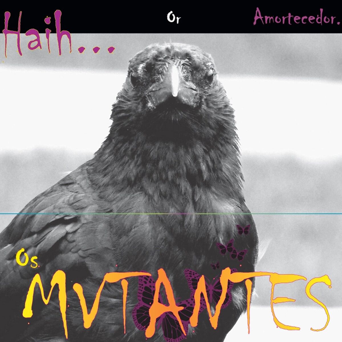 Album cover of Haih Or Amortecedor...