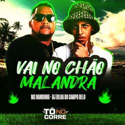 Cover of Vai no Chão Malandra