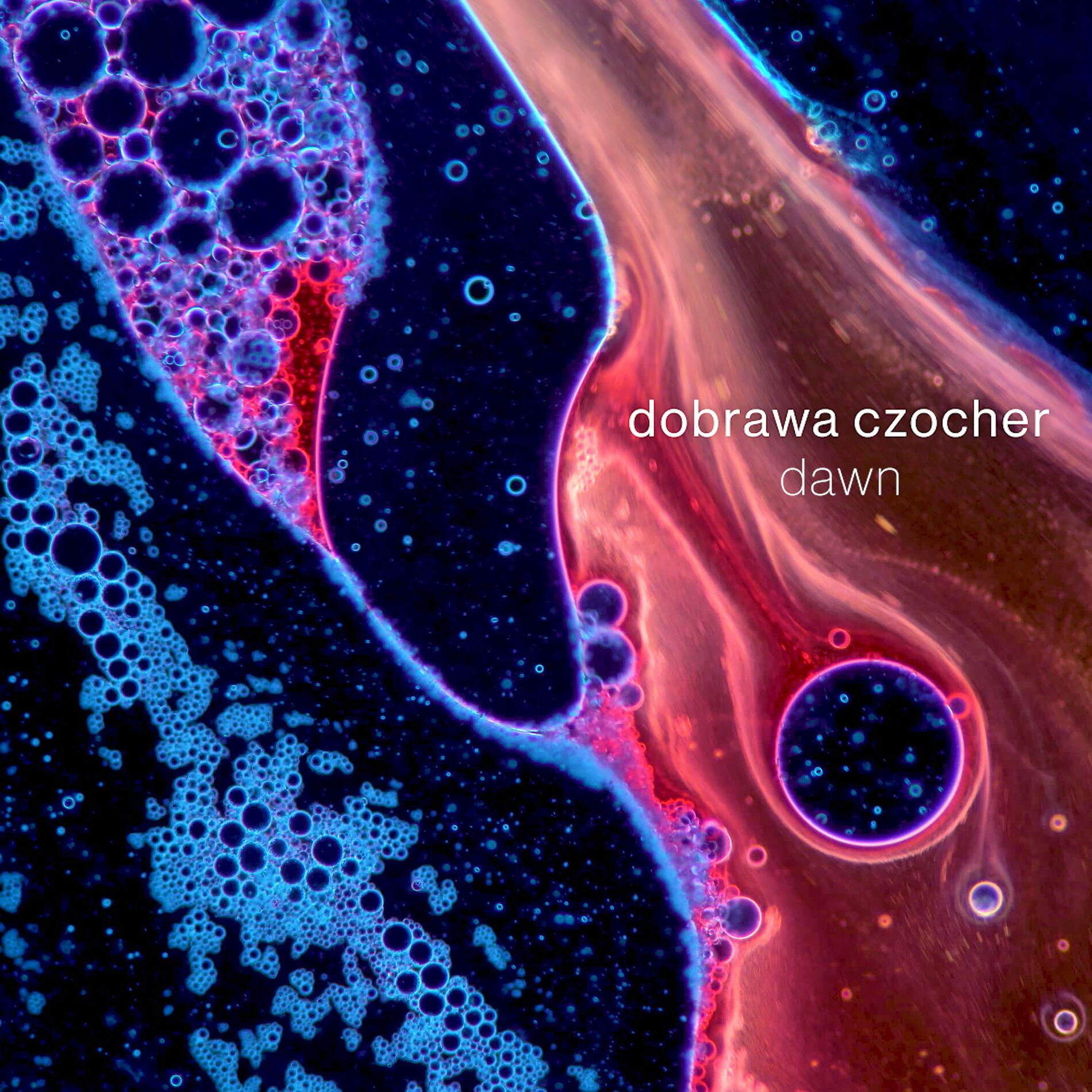 Album cover of Dawn