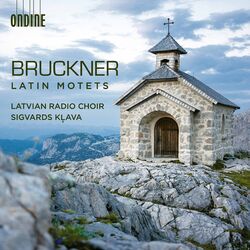 Cover of Bruckner: Latin Motets