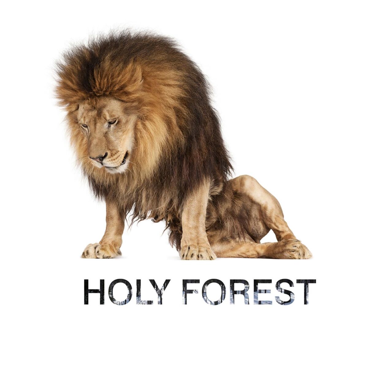 Album cover of Holy Forest