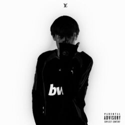 Cover of Fuck Louis Vuitton 2
