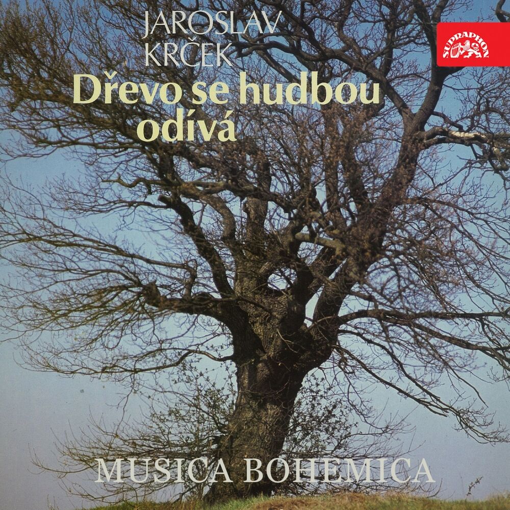 Picture of Dřevo Se Hudbou Odívá