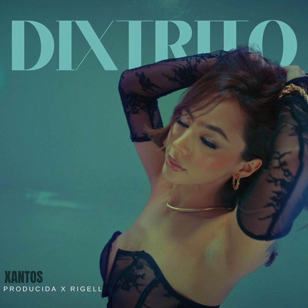 Album cover of Dixtrito