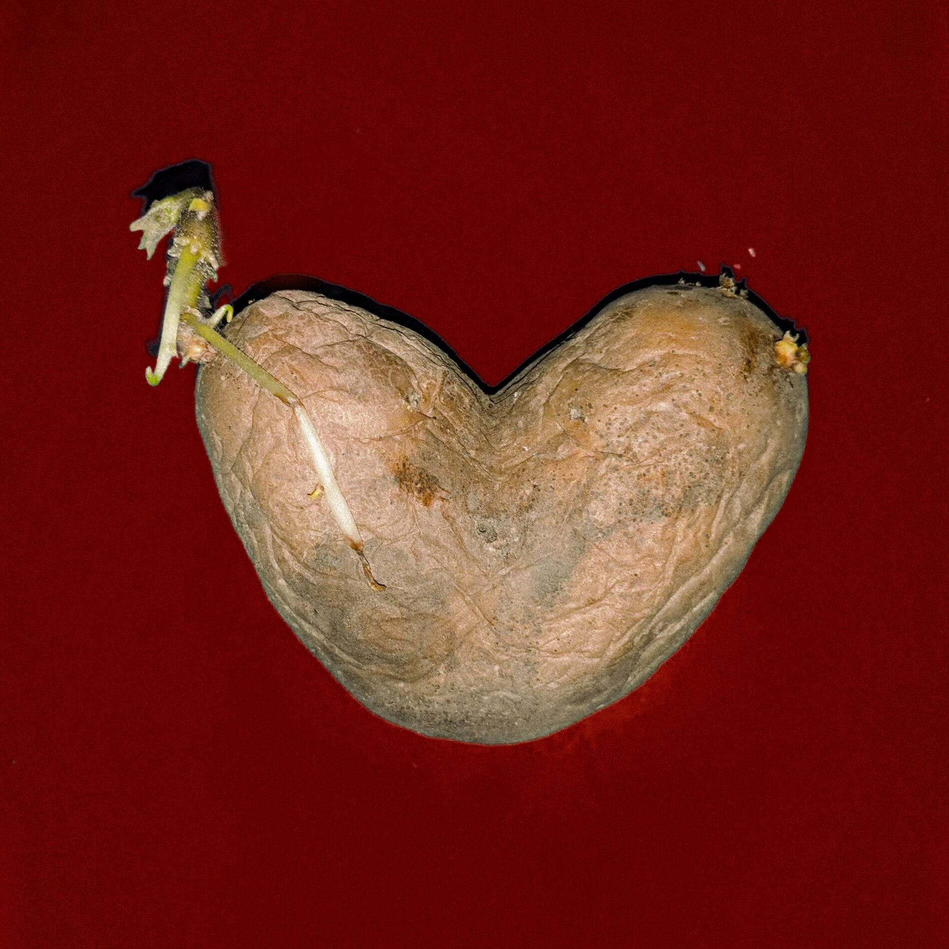 Album cover of Dunkeldunkeldunkelrot