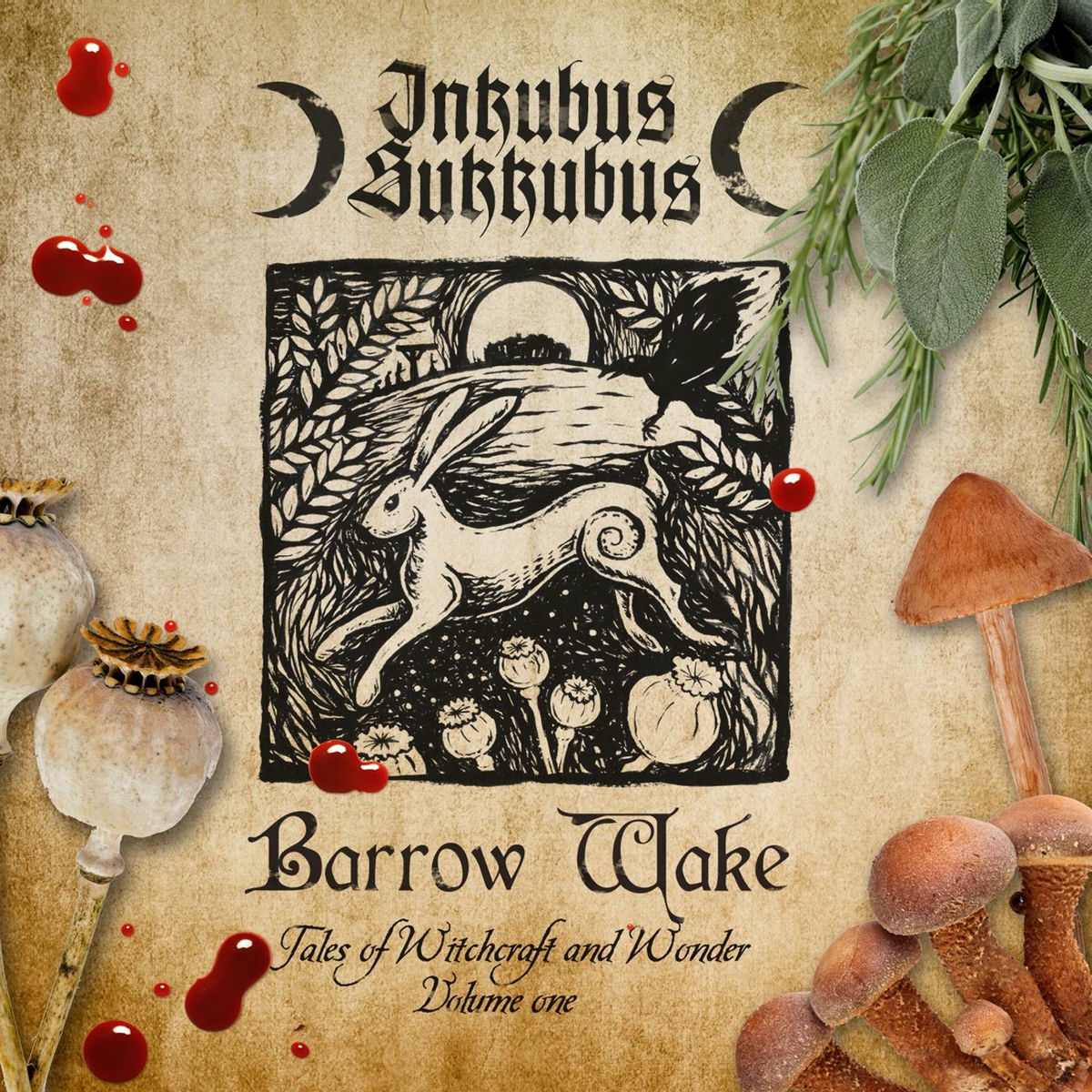 Album cover of Barrow Wake