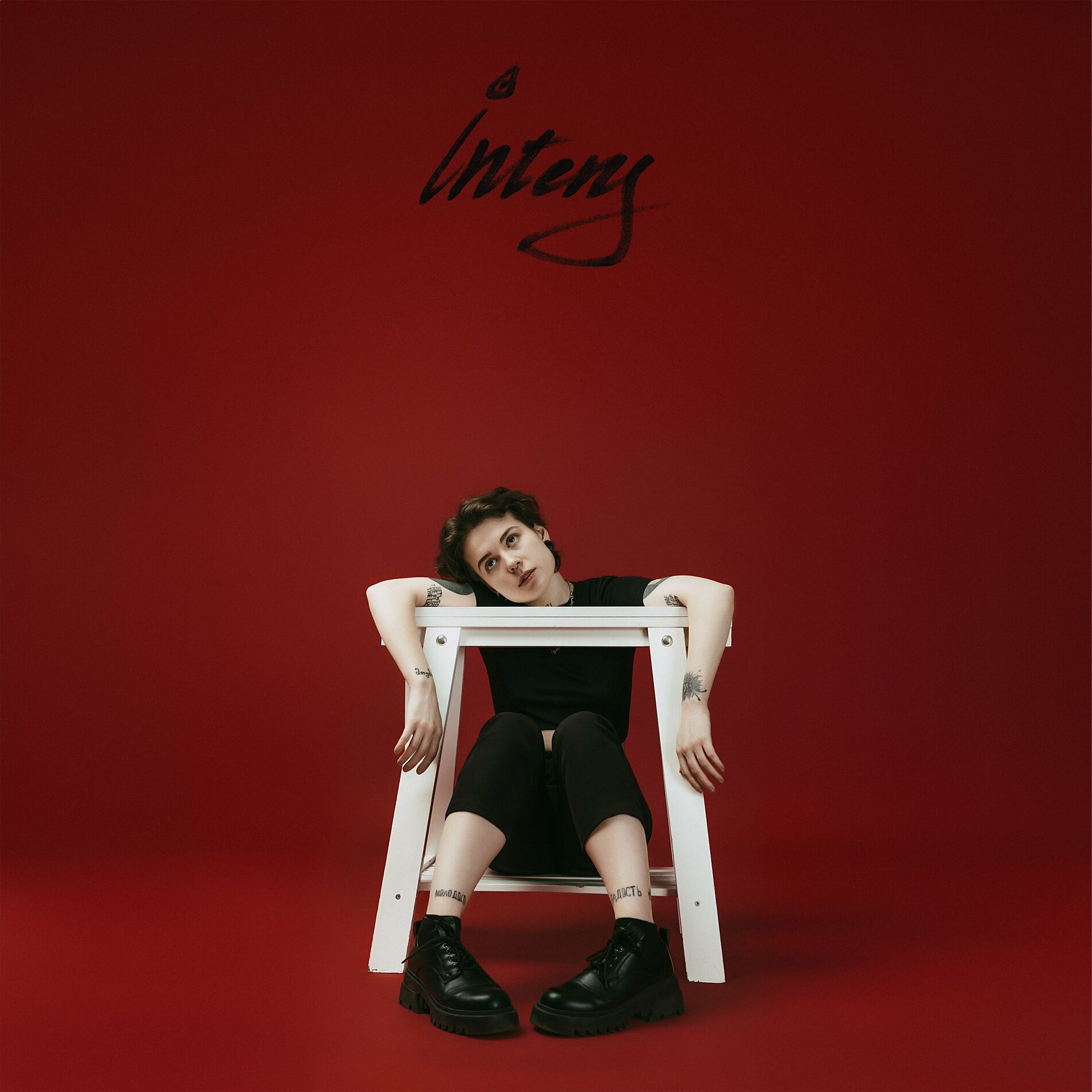Album cover of INTENS
