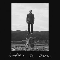 Cover of Guidance in Dreams