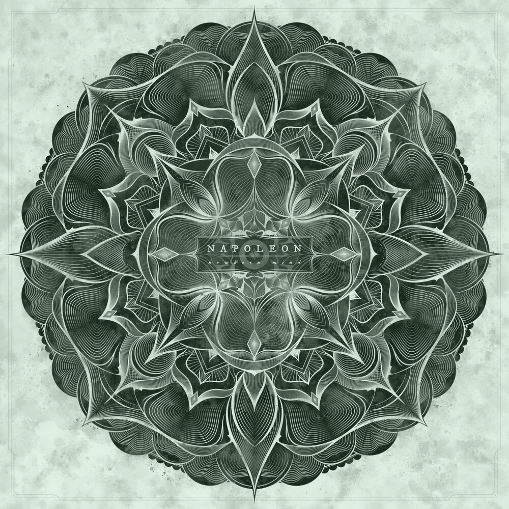 Picture of Newborn Mind