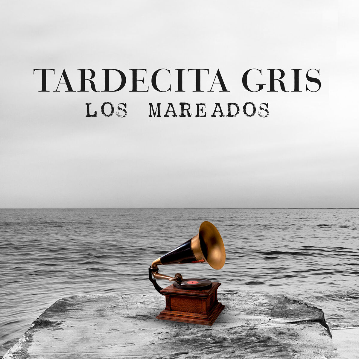 Album cover of Tardecita Gris