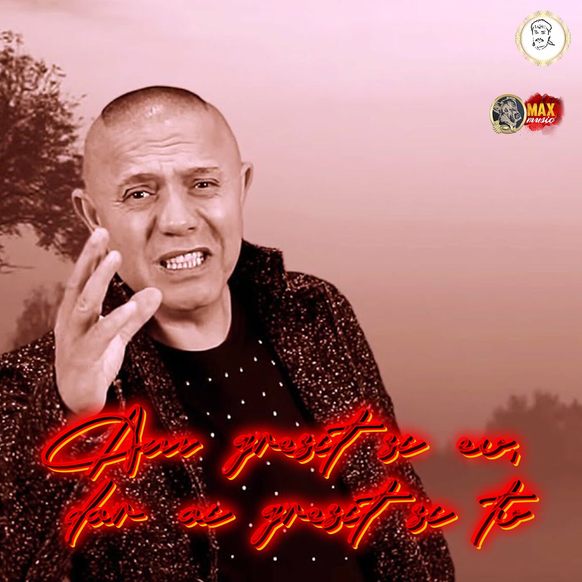 Album cover of Eu as da zilele mele