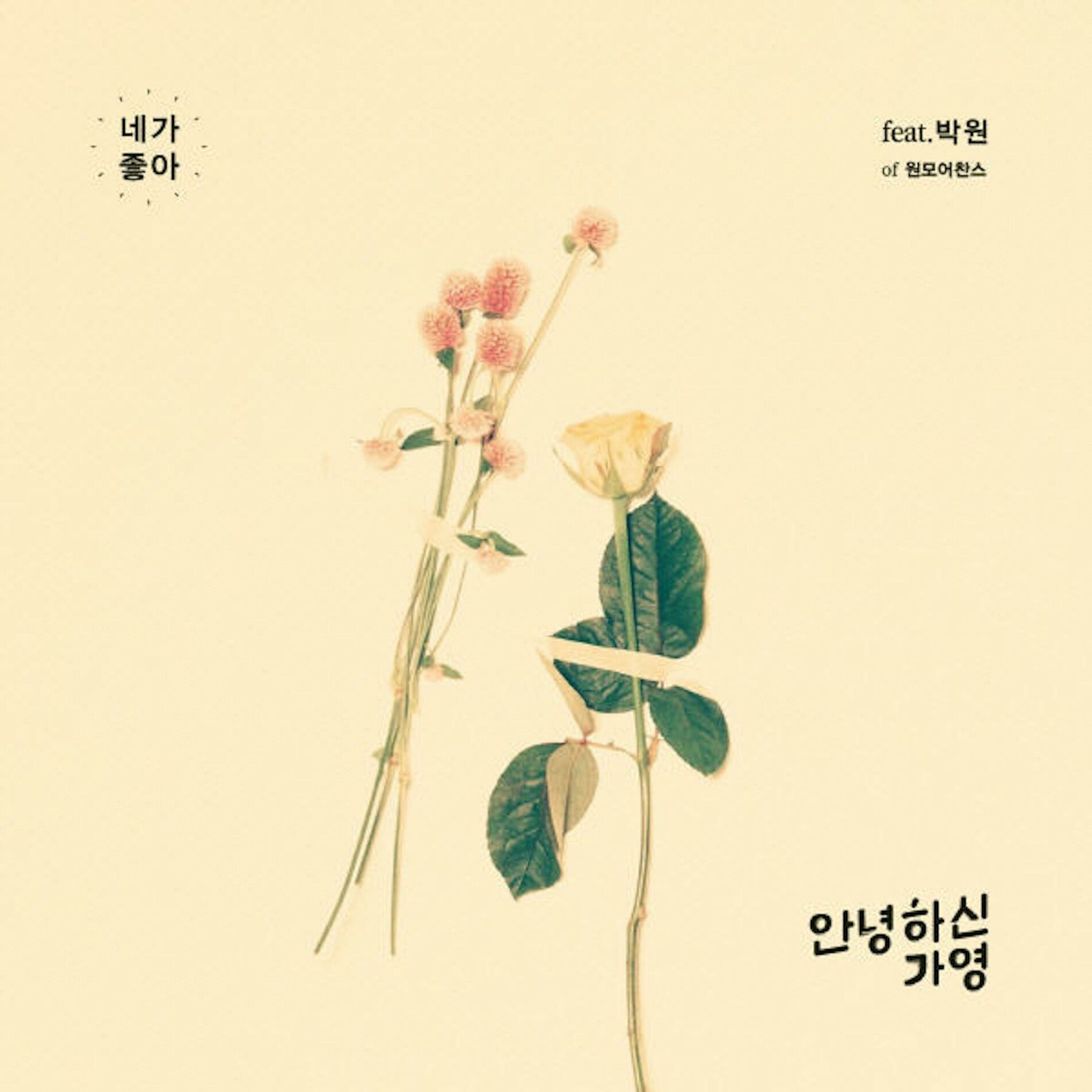 Album cover of 네가 좋아 (Feat. 박원)