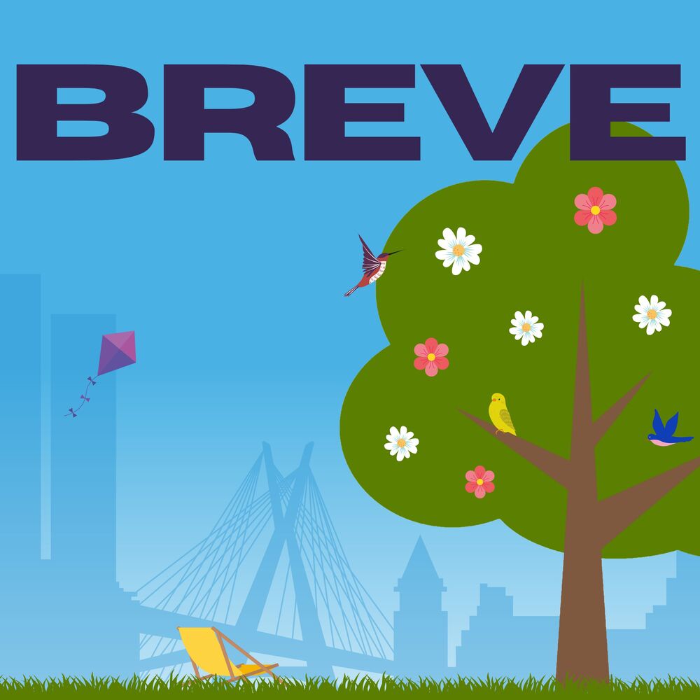 Picture of Breve