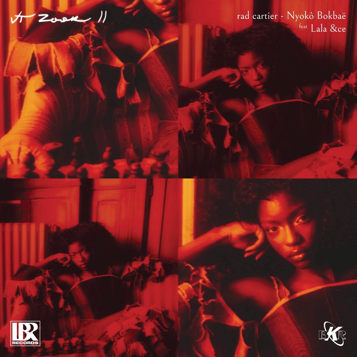 Album cover of VT ZOOK II