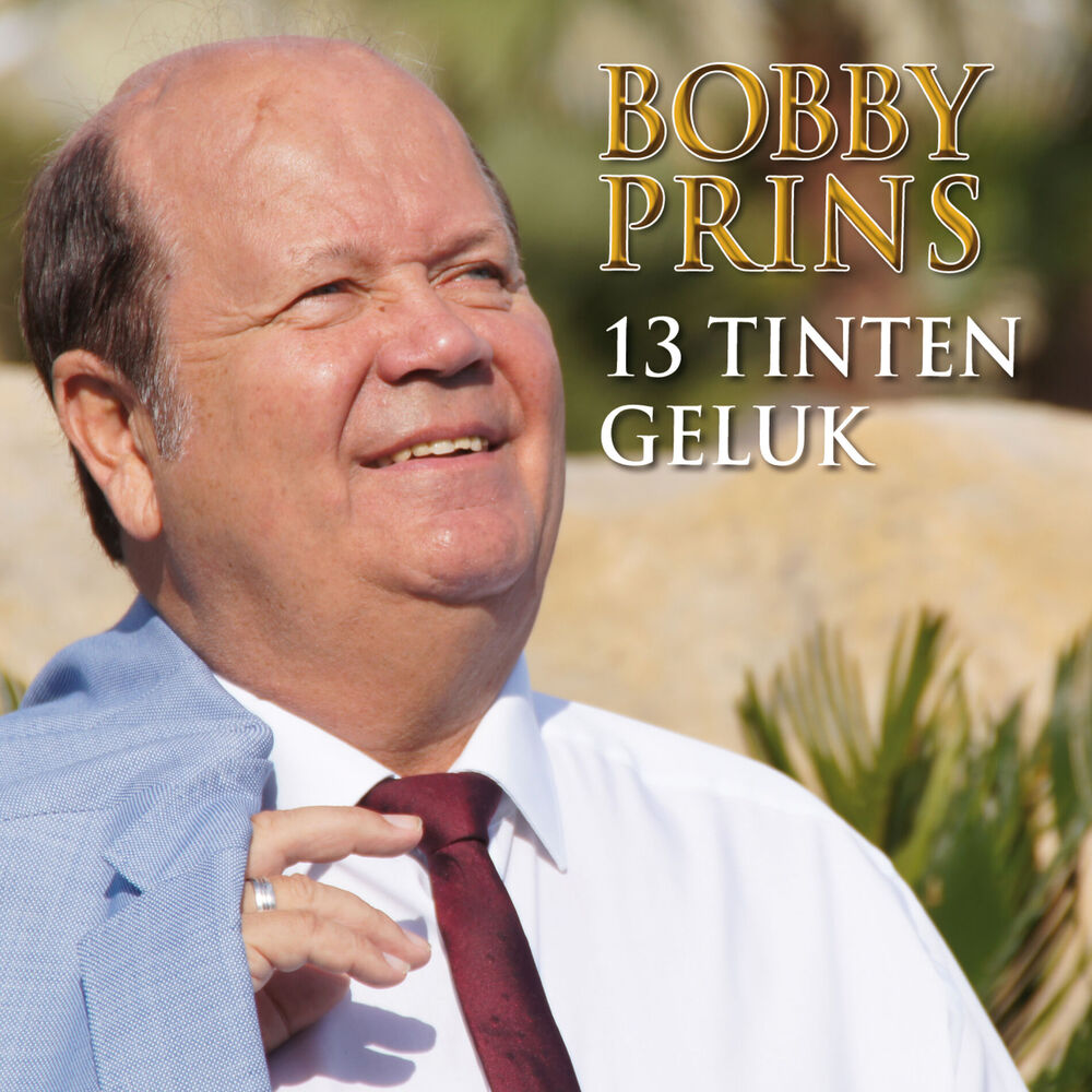 Picture of 13 Tinten Geluk