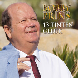 Cover of 13 Tinten Geluk