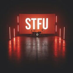 Cover of STFU
