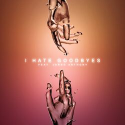 I Hate Goodbyes (feat. Jared Anthony)