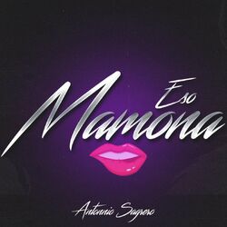 music cover