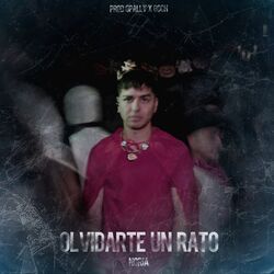 Cover of Olvidarte un rato