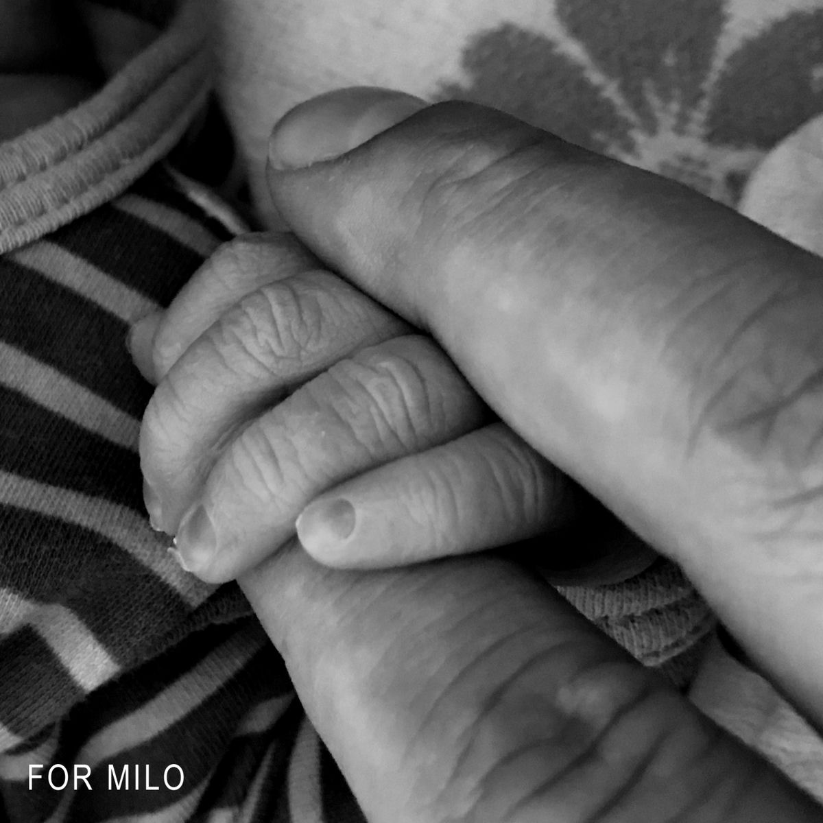 Album cover of For Milo