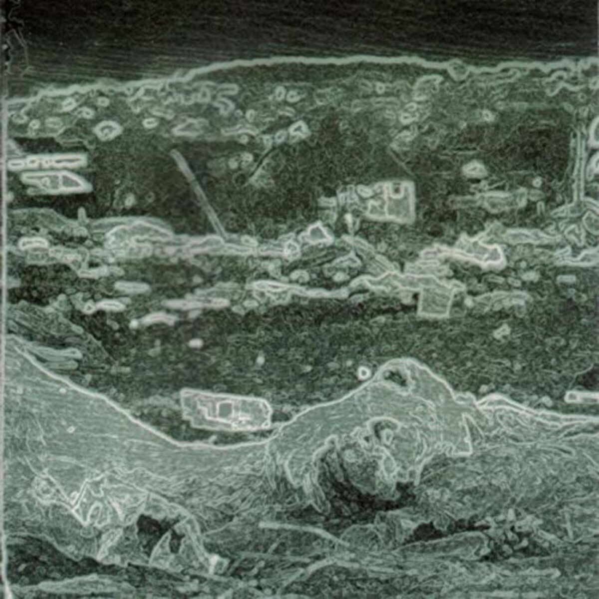 Album cover of Dr. Troll