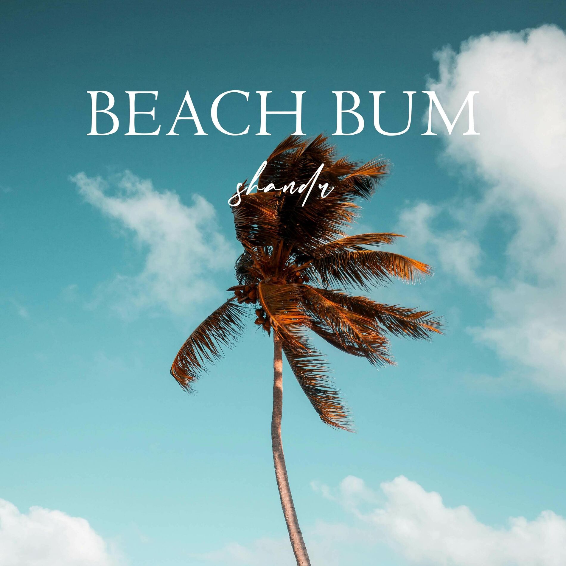 Album cover of Beach Bum