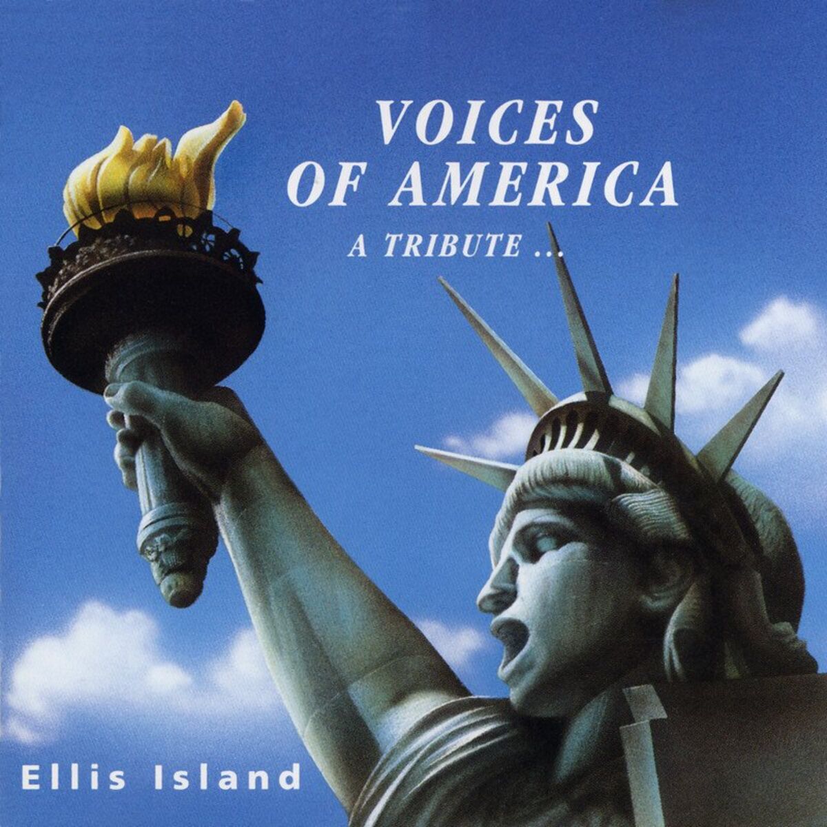 Album cover of Voices of America