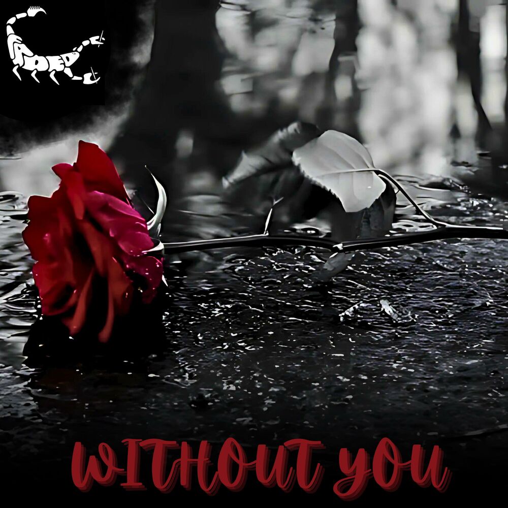 Picture of WITHOUT YOU
