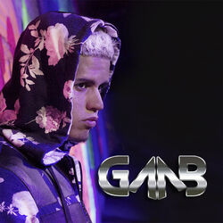Cover of Gaab