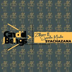 Cover of Syachazana