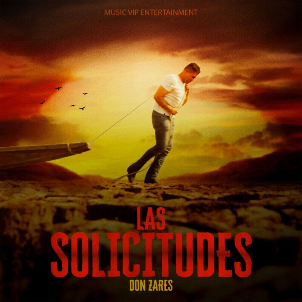Album cover of Las Solicitudes
