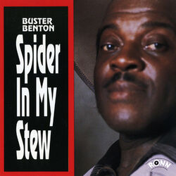 Cover of Spider in My Stew