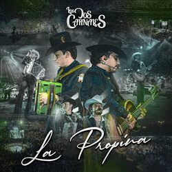 Cover of La Propina