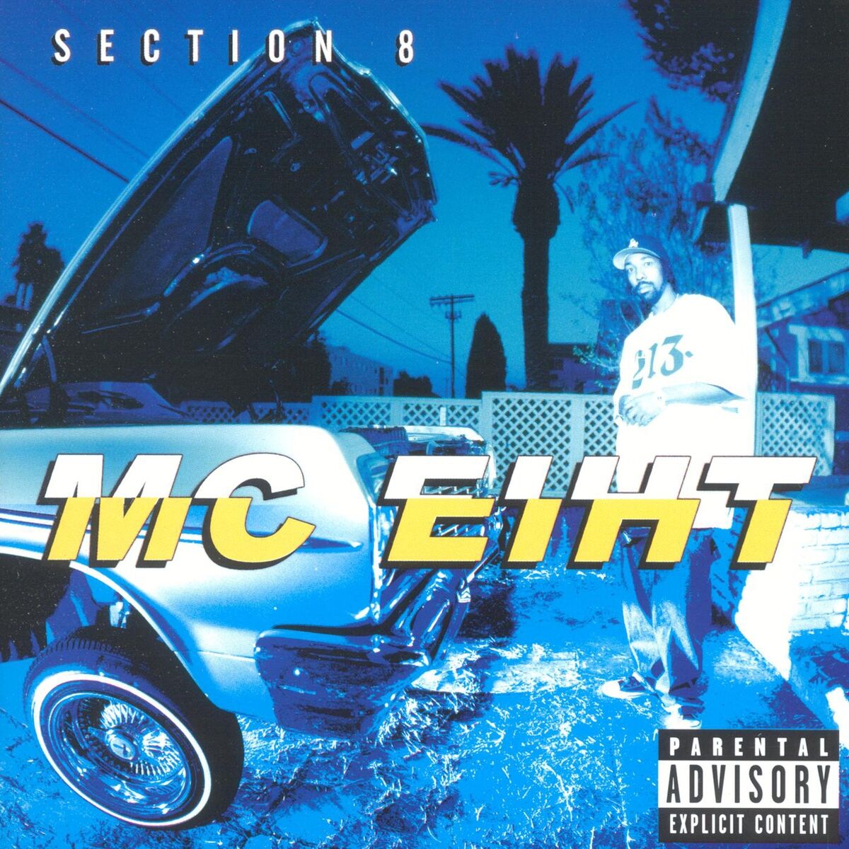 Album cover of Section 8 (Explicit)